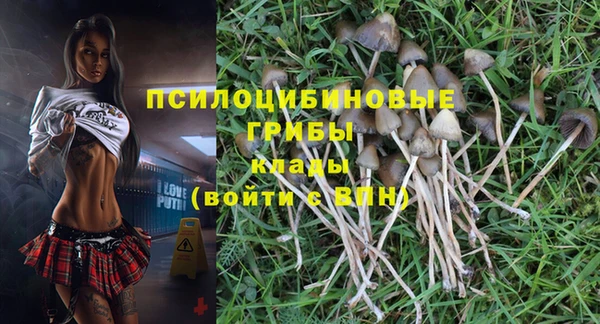 таблы Пересвет